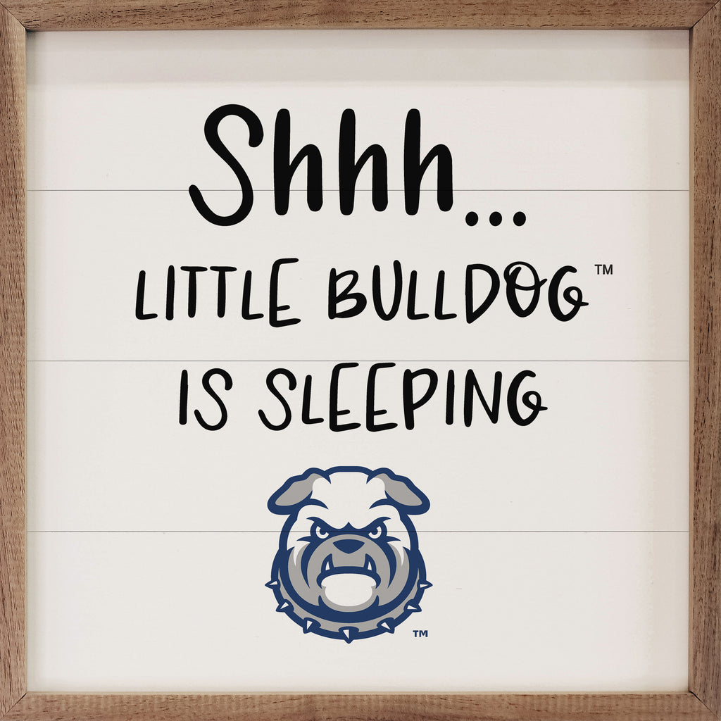 Shhh Little Drake University 16x16 / White