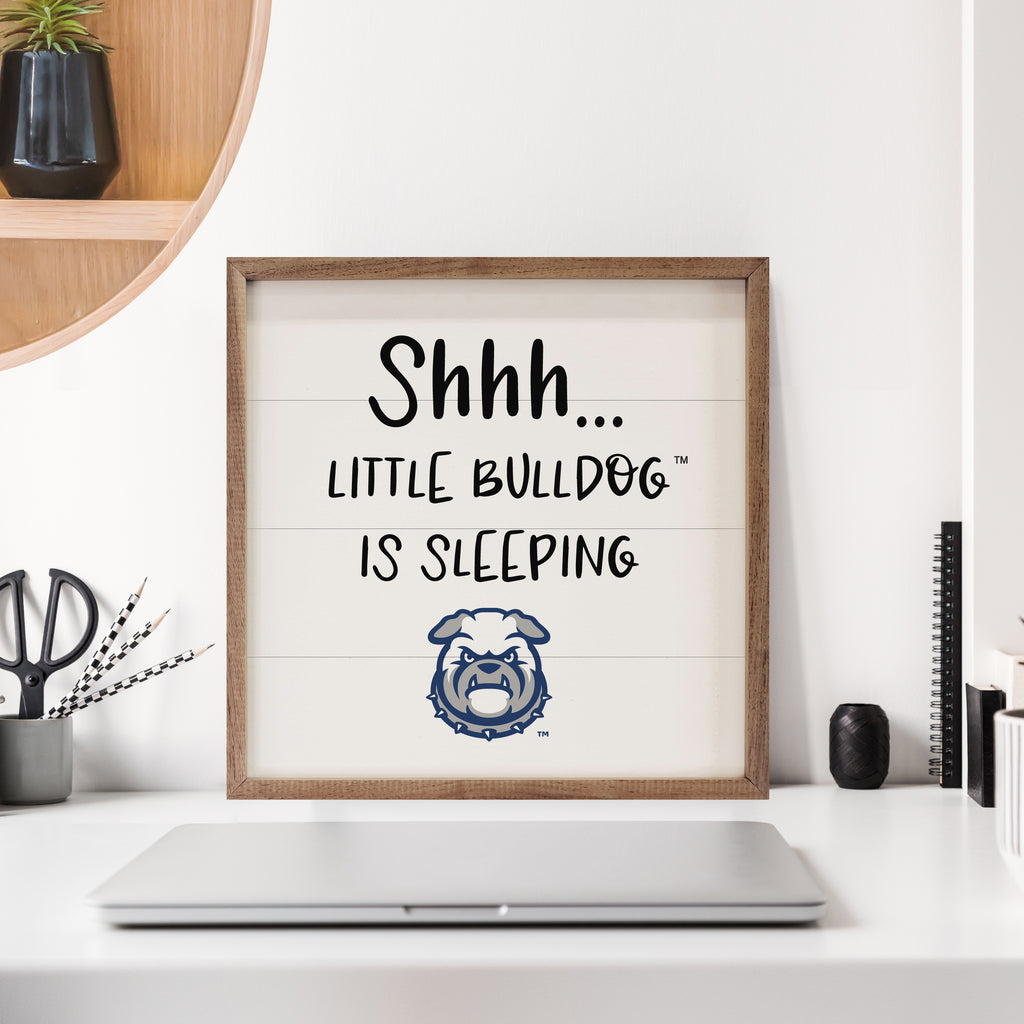 Shhh Little Drake University 16x16 / White