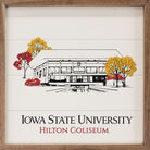 Sketch Basketball Stadium Iowa State 16x16 / White