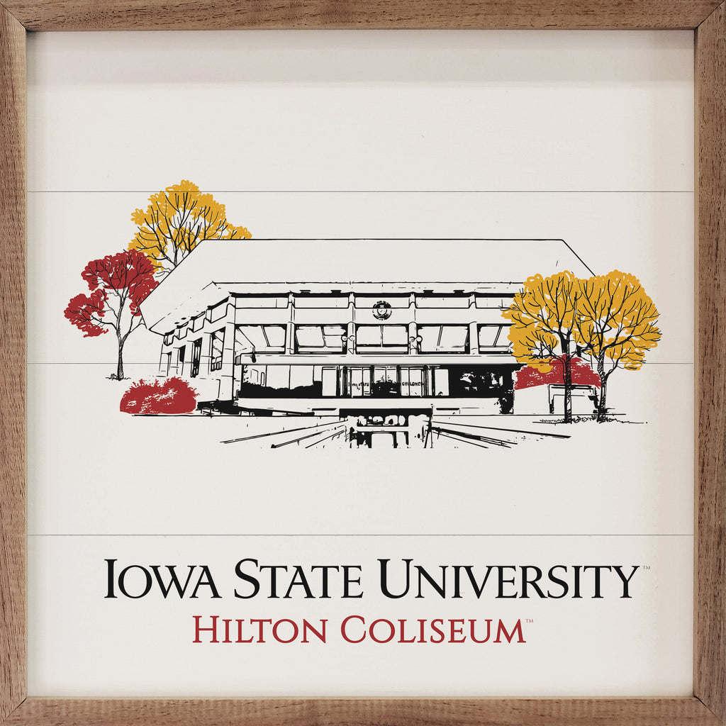 Sketch Basketball Stadium Iowa State 16x16 / White