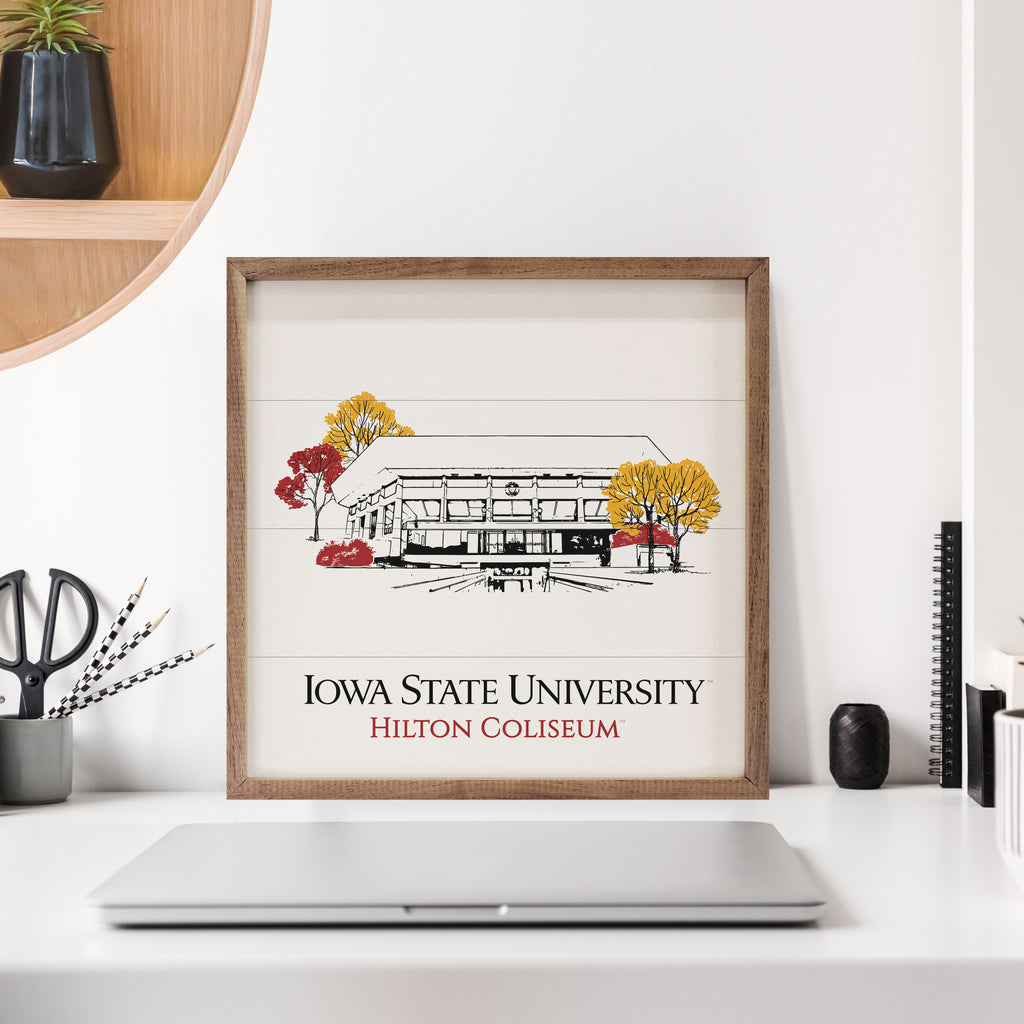 Sketch Basketball Stadium Iowa State 16x16 / White