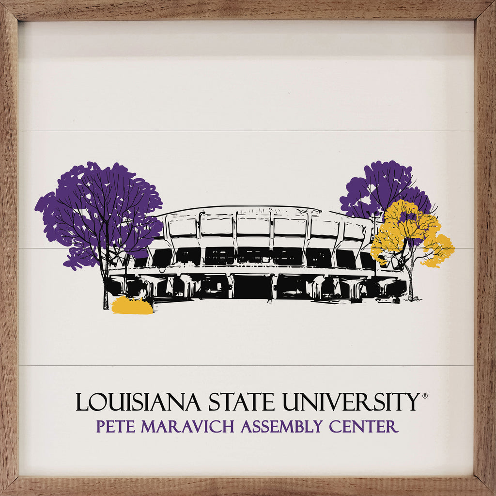 Sketch Basketball Stadium LSU 16x16 / White