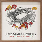 Sketch Football Stadium Iowa State 16x16 / White