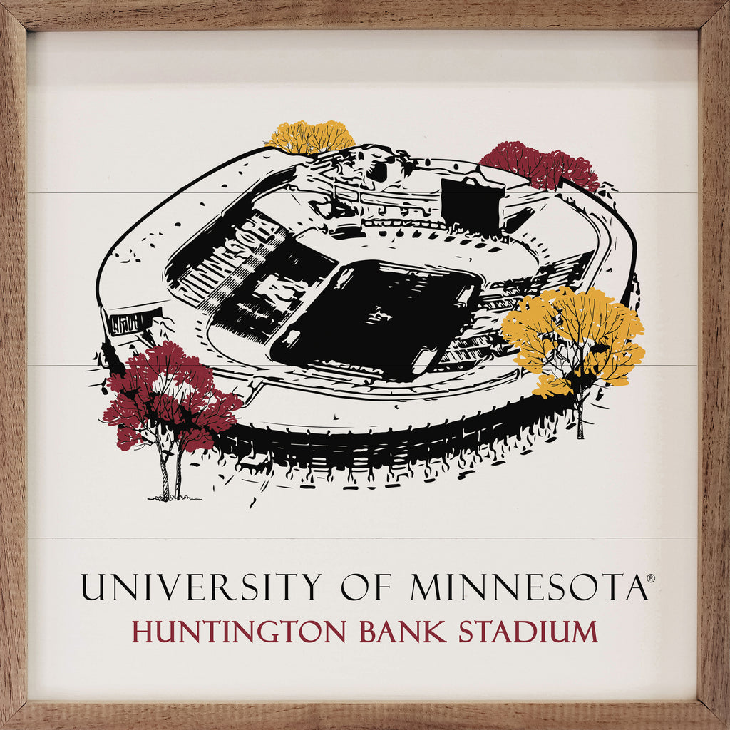 Sketch Football Stadium Minnesota 16x16 / White