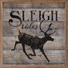 Sleigh Rides Reindeer Brown 16x16 / Brown