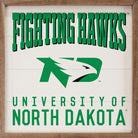 Traditional University North Dakota 16x16 / White