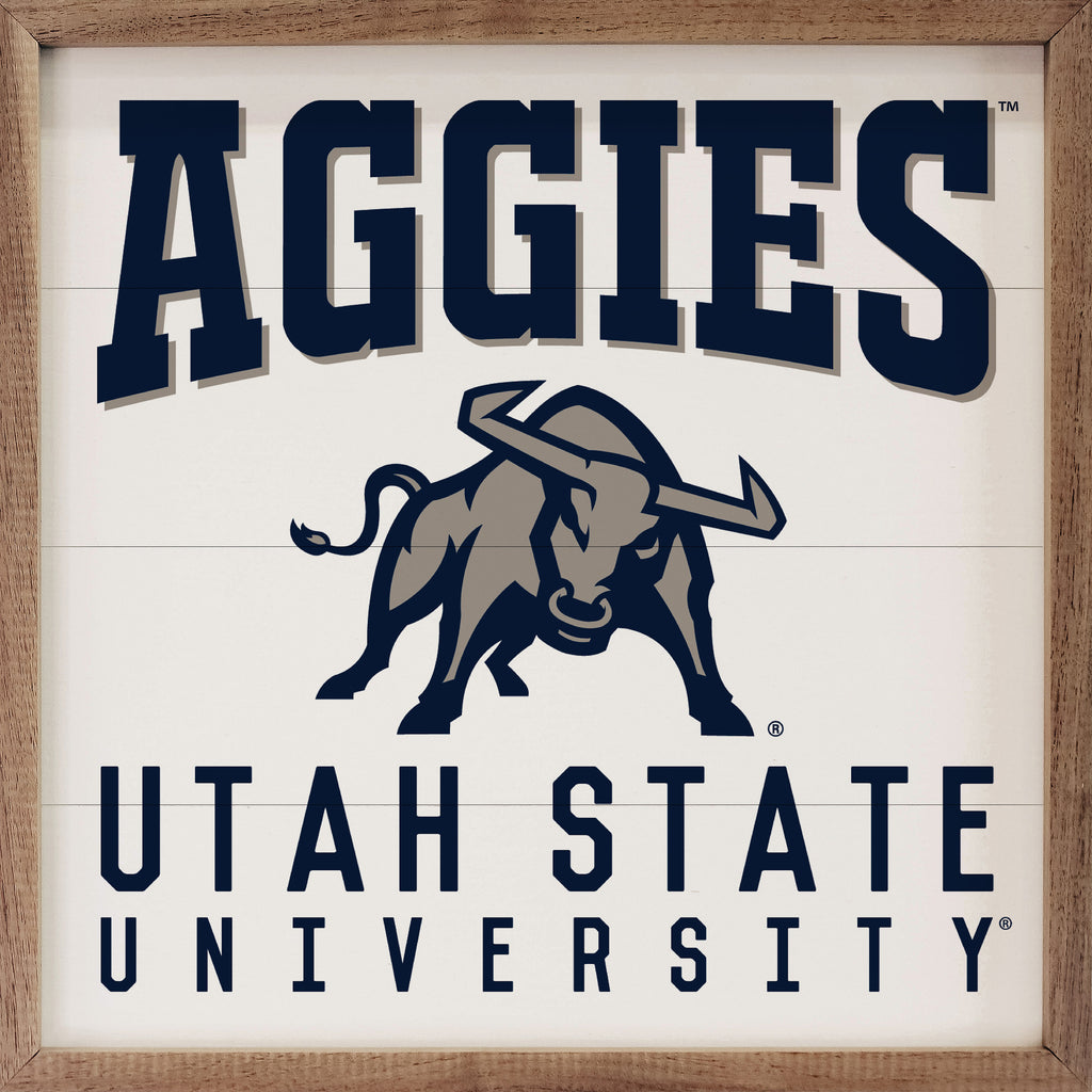 Traditional University Utah State 16x16 / White