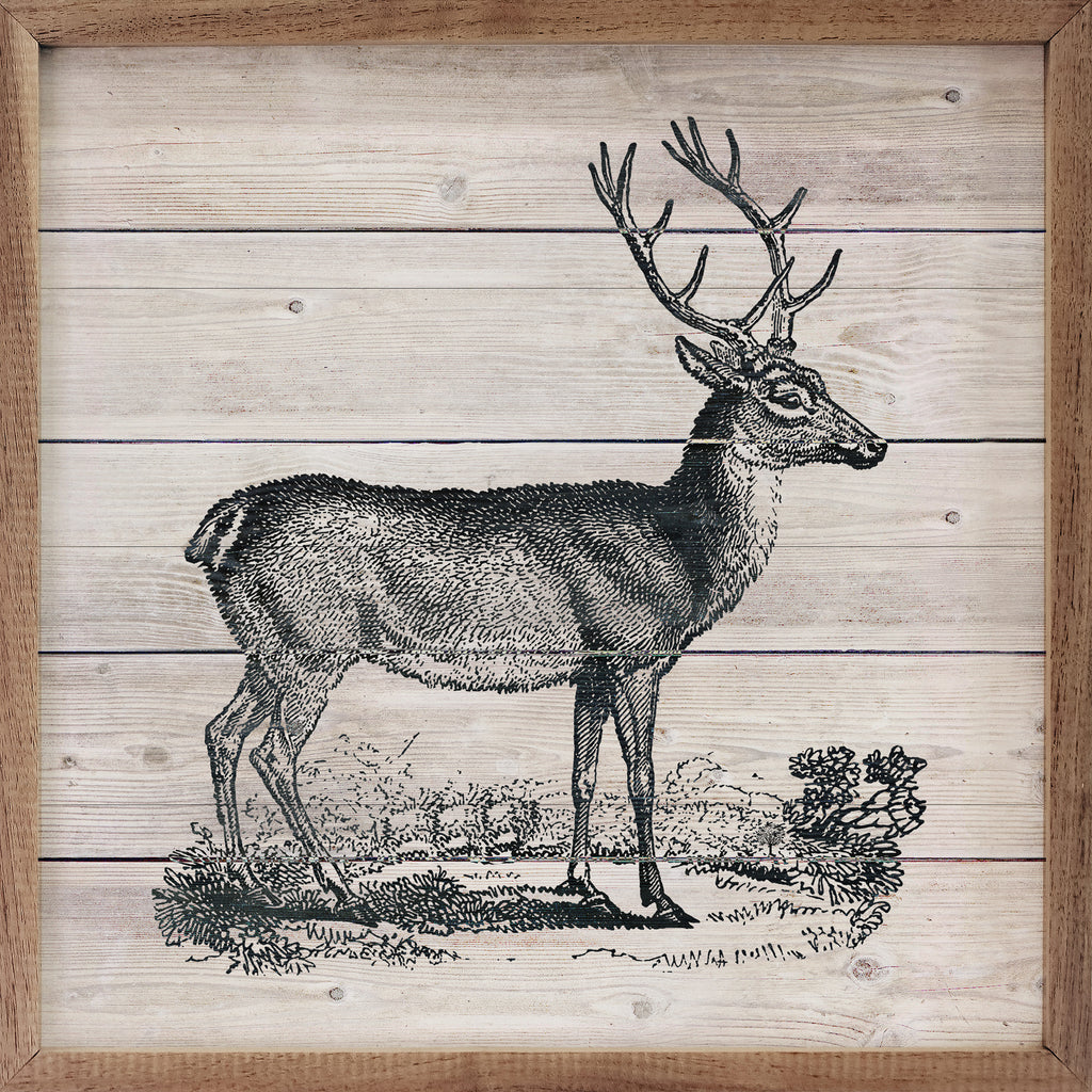 Vintage Deer 16x16 / White