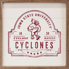 Vintage Stamp Iowa State 16x16 / White