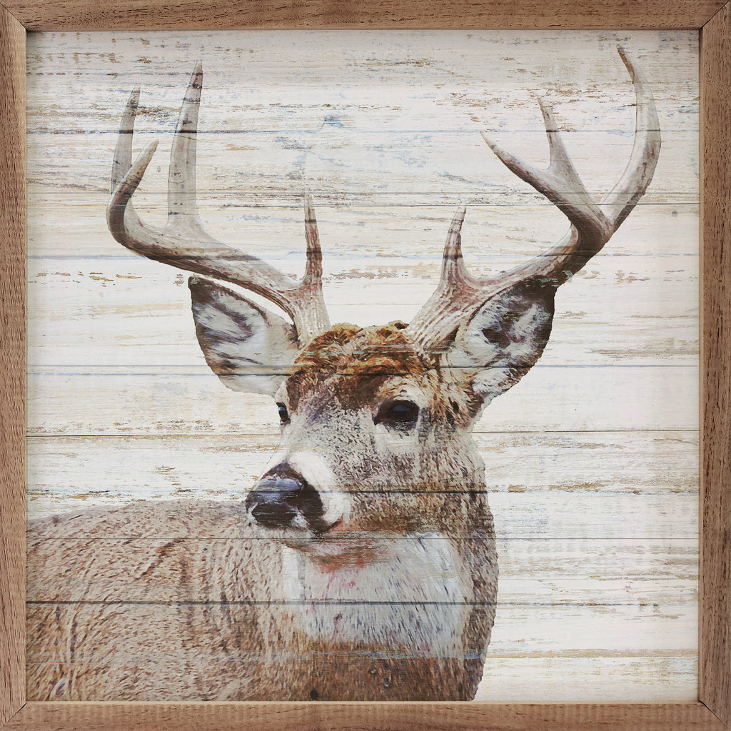 Whitetail 16x16 / White