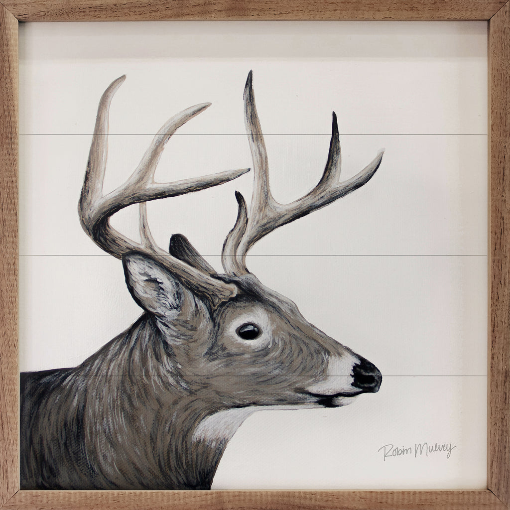 Whitetail Deer By Robin Sue Studio 16x16 / Multi-Color