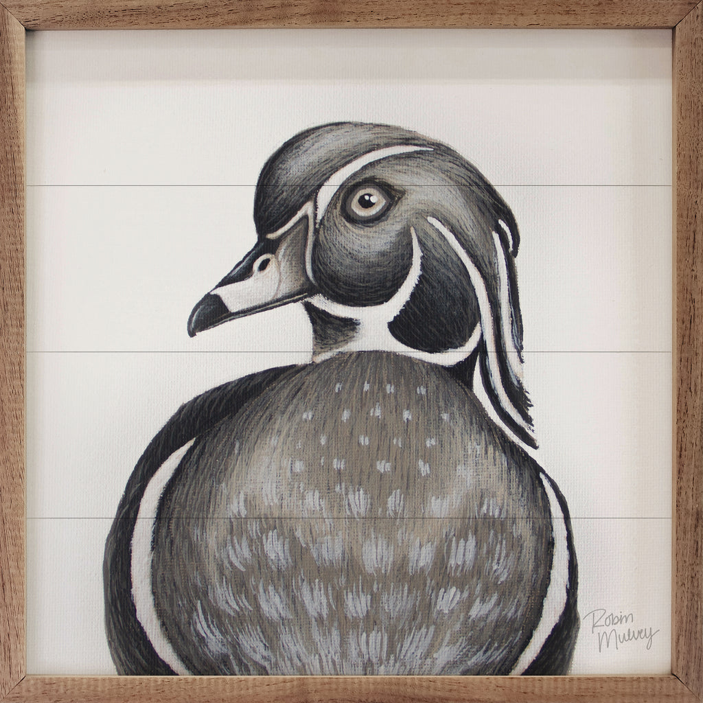 Wood Duck By Robin Sue Studio 16x16 / Multi-Color