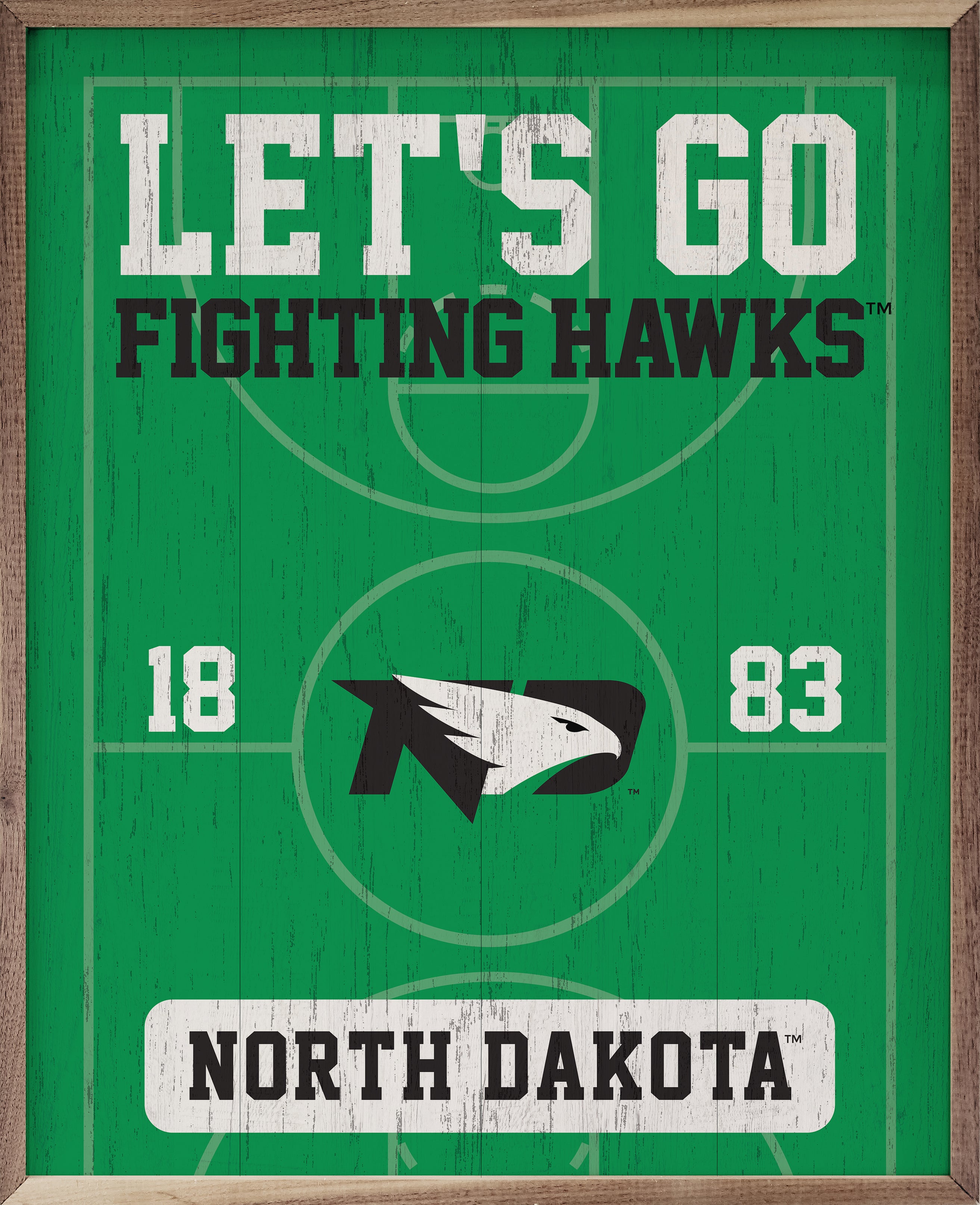 Basketball Court Let's Go Fighting Hawks 16x20 / Green