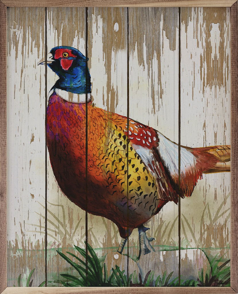 Common Pheasant 16x20 / Multi-Color