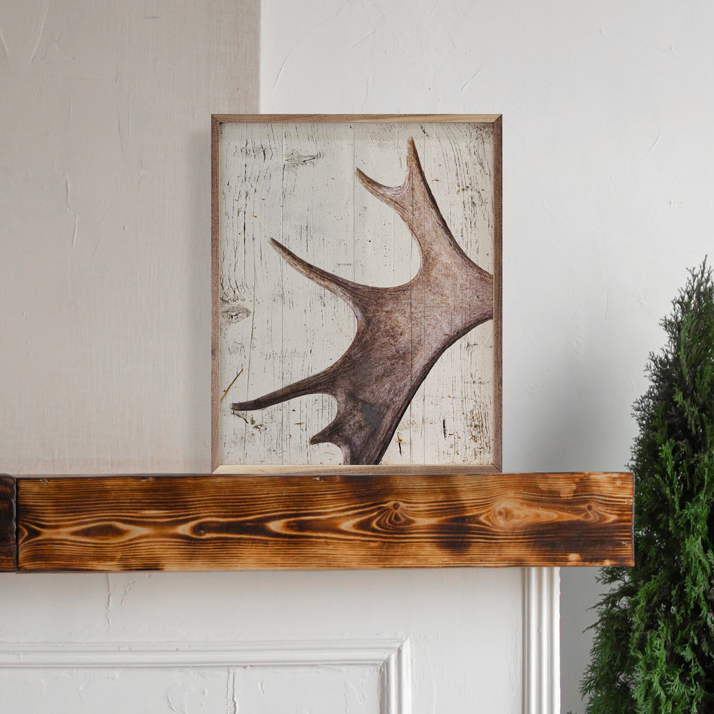 Moose Antler 16x20 / White