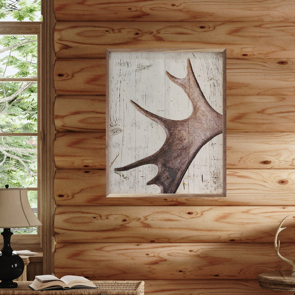 Moose Antler 16x20 / White