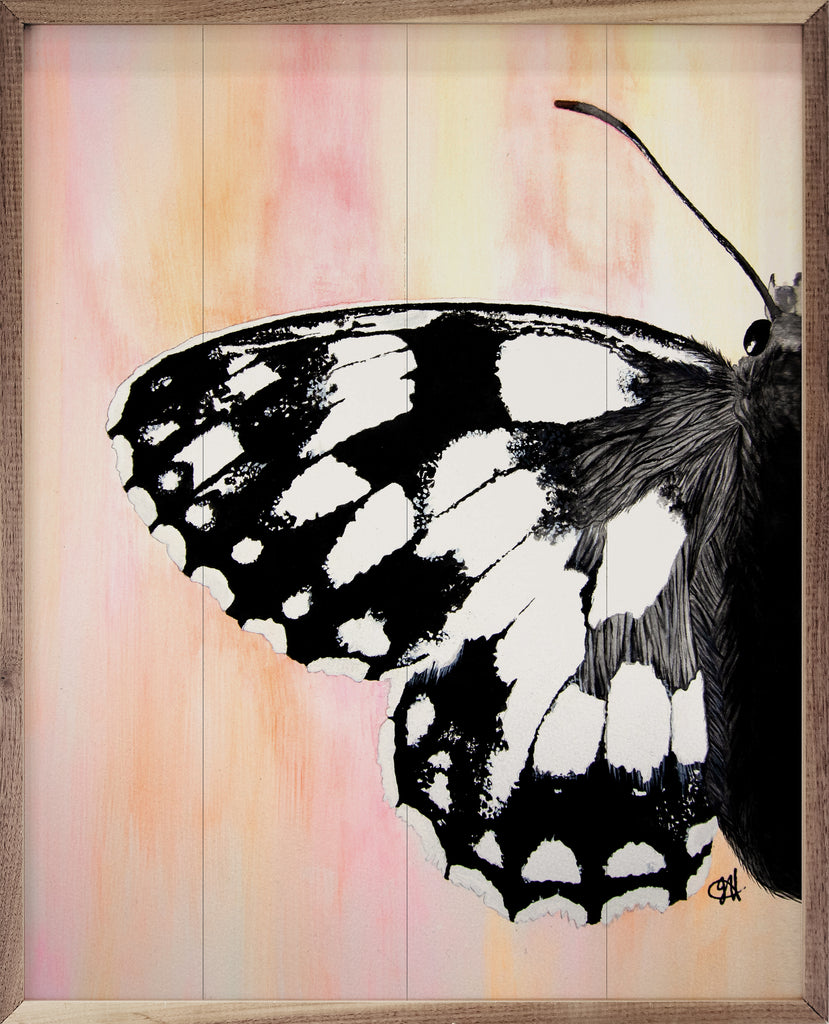 Moth Left By Jodi Hatfield 16x20 / Multi-Color