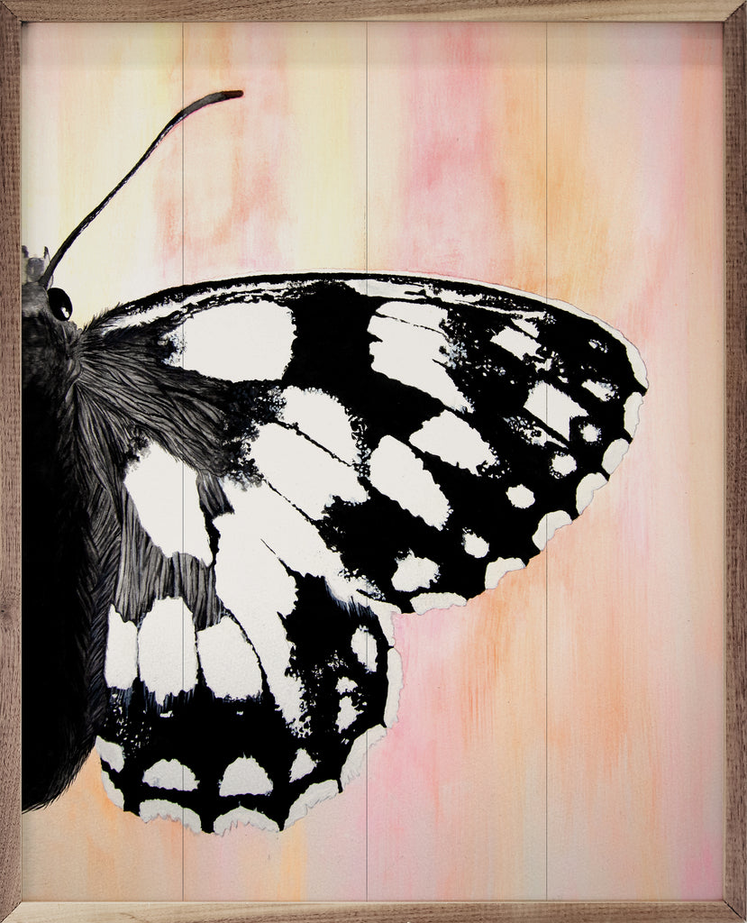 Moth Right By Jodi Hatfield 16x20 / Multi-Color