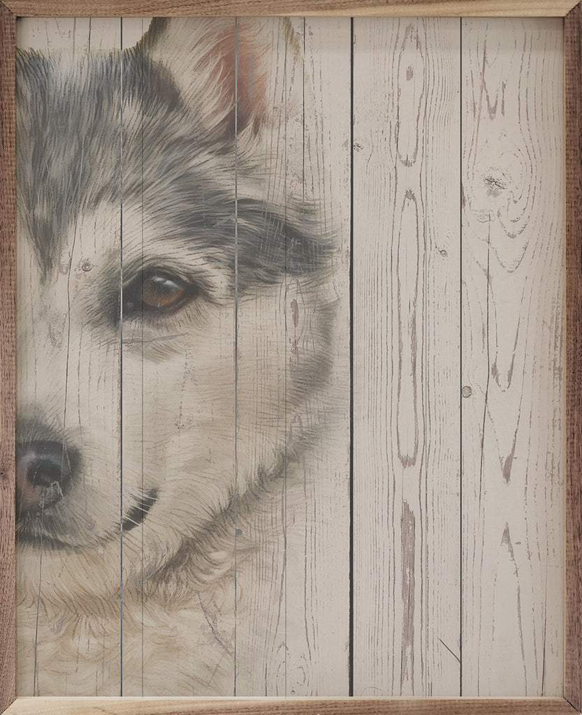 Sled Dog Portrait 16x20 / Multi-Color