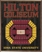 Stadium Seating Basketball Black Iowa State 16x20 / Black