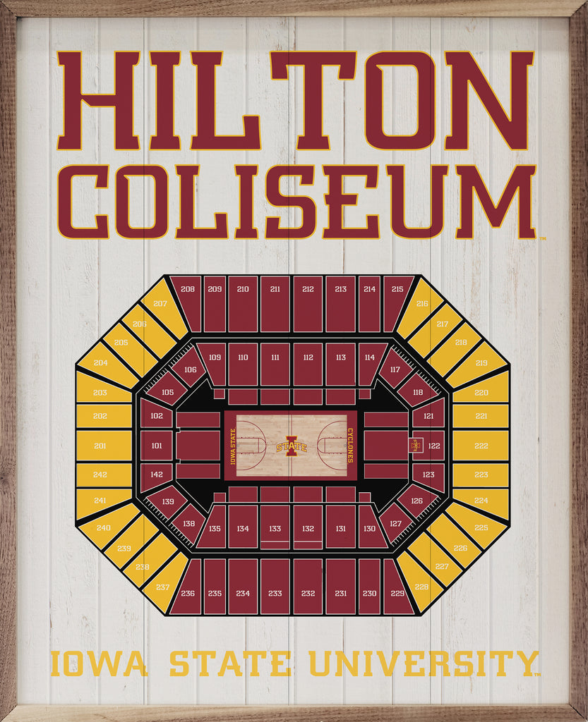 Stadium Seating Basketball White Iowa State 16x20 / White