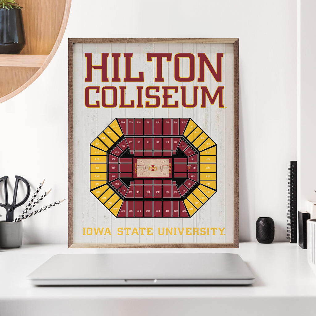 Stadium Seating Basketball White Iowa State 16x20 / White
