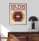 Stadium Seating Basketball White Iowa State 16x20 / White