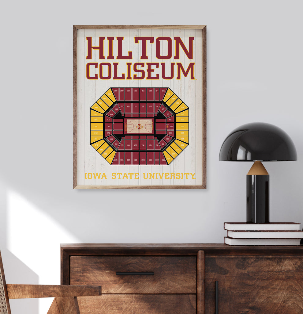 Stadium Seating Basketball White Iowa State 16x20 / White