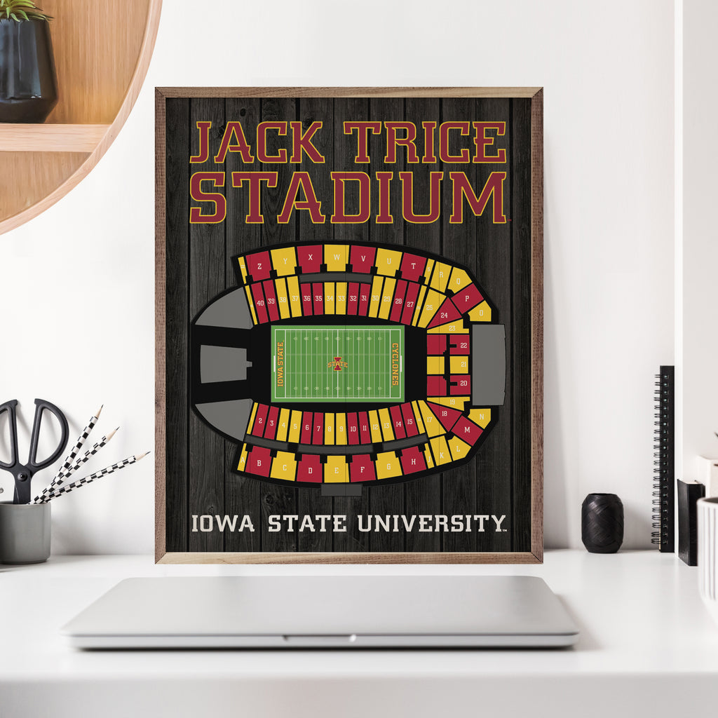 Stadium Seating Football Black Iowa State 16x20 / Black