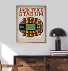 Stadium Seating Football White Iowa State 16x20 / White