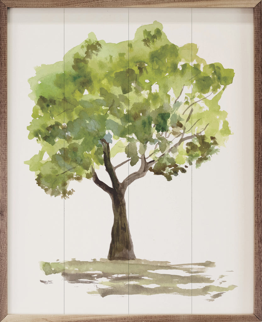 Watercolor Oak Tree 16x20 / White