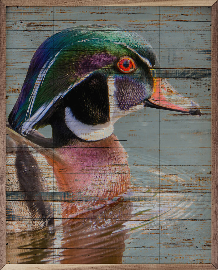 Wood Duck Blue 16x20 / Blue