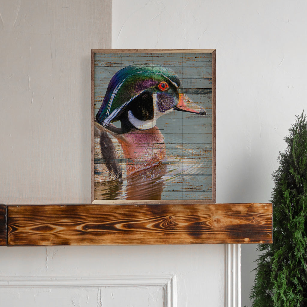 Wood Duck Blue 16x20 / Blue