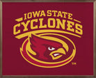 Bold Logo Iowa State 20x16 / Red