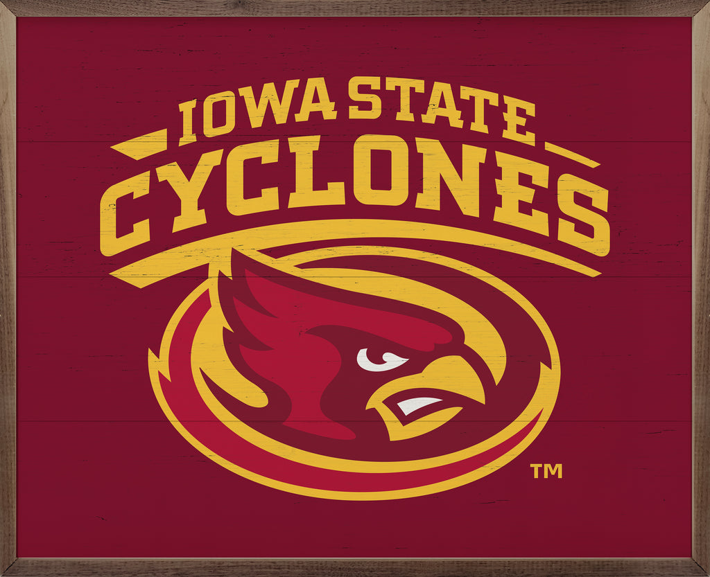 Bold Logo Iowa State 20x16 / Red