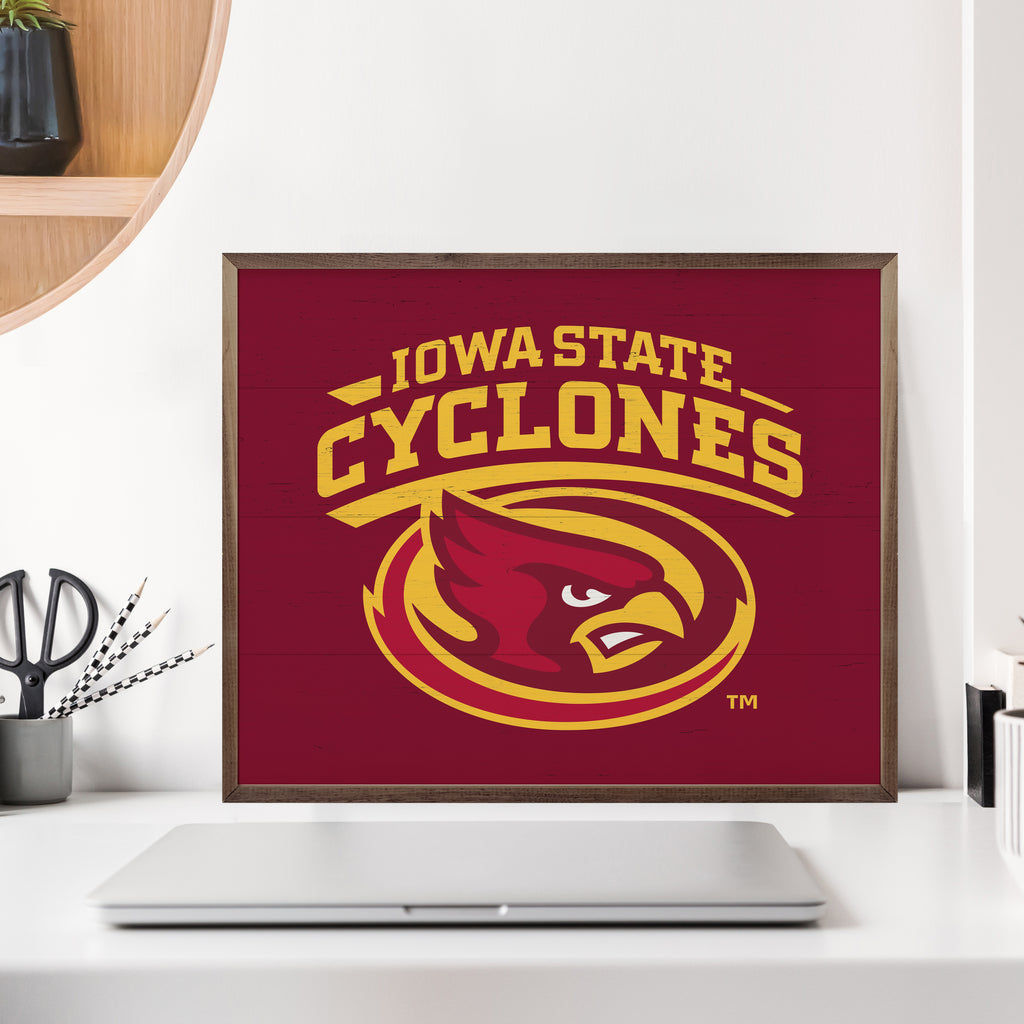 Bold Logo Iowa State 20x16 / Red