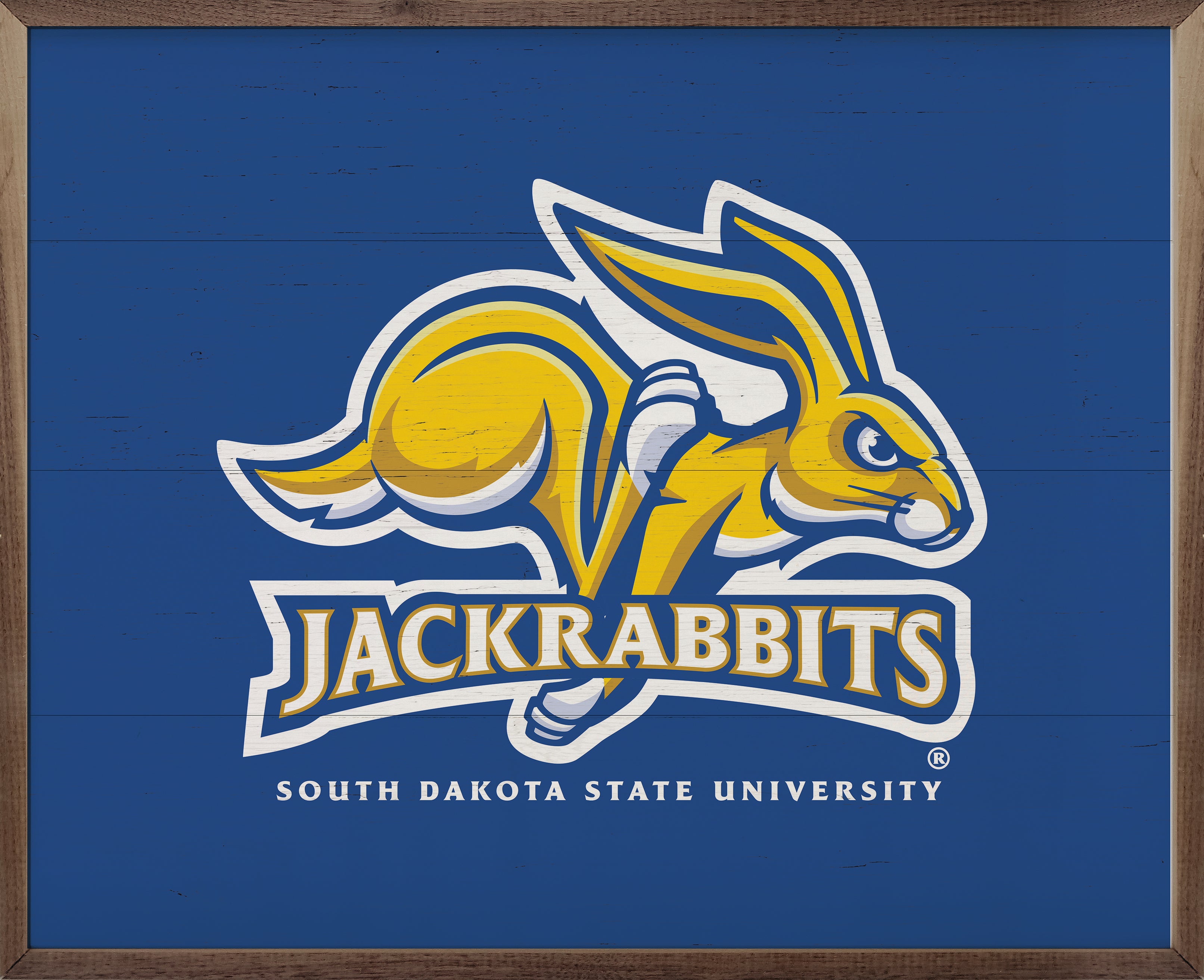 Bold Logo South Dakota State 20x16 / Blue