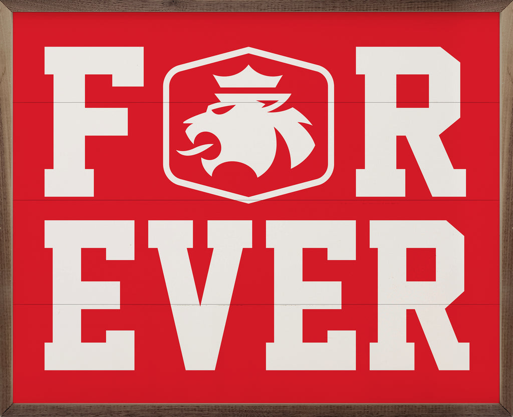 Forever Central College 20x16 / Red