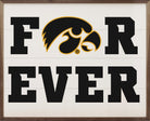 Forever Iowa 20x16 / White