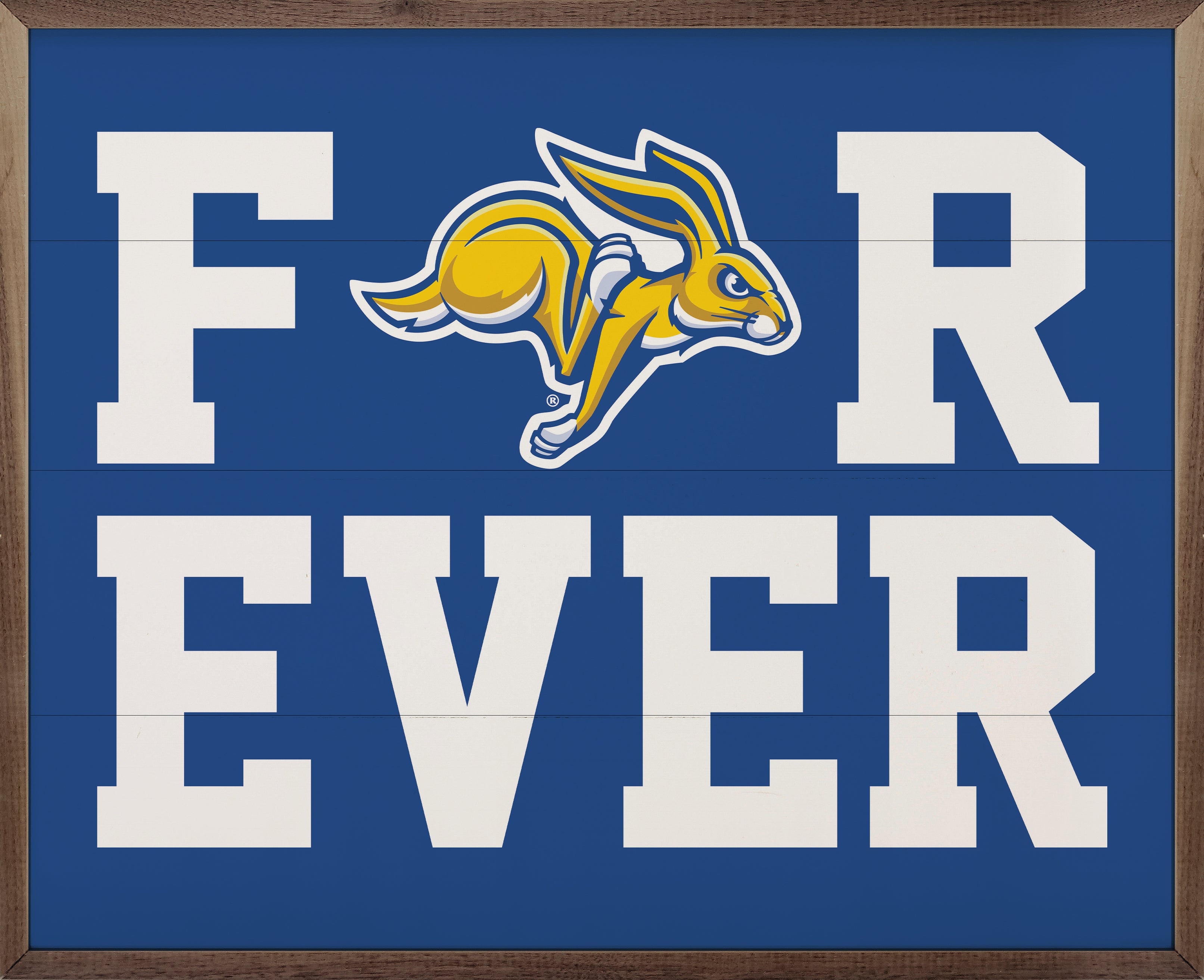 Forever South Dakota State Blue 20x16 / Blue