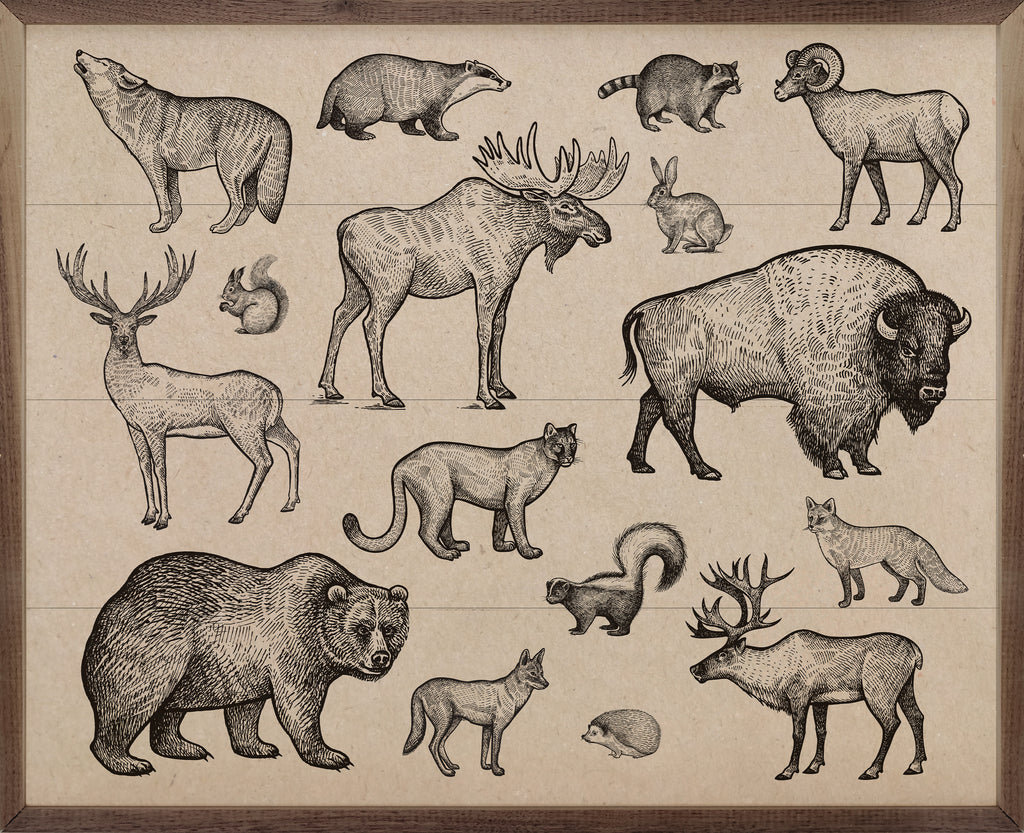 North American Animals 20x16 / White