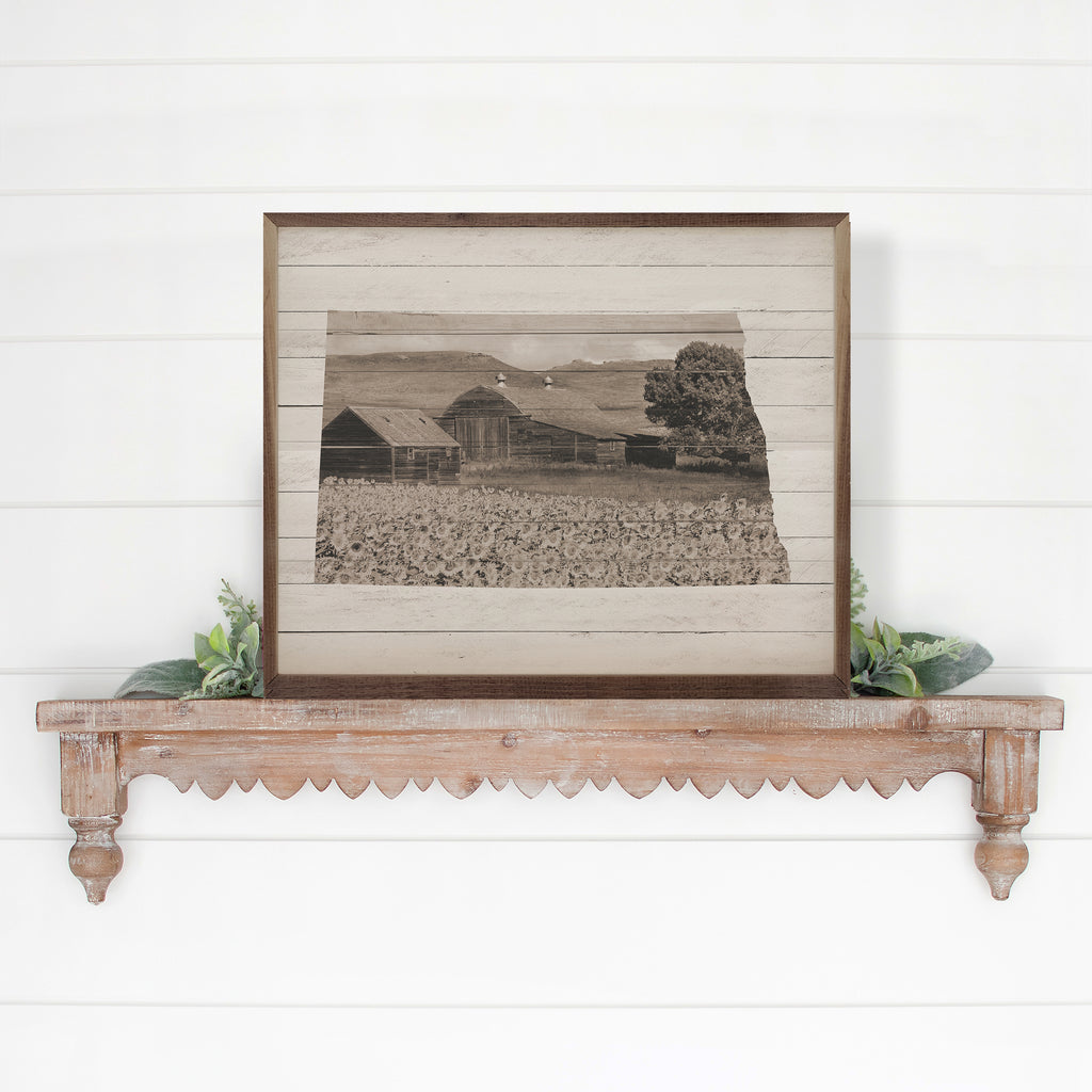 North Dakota Sunflower Field 20x16 / White