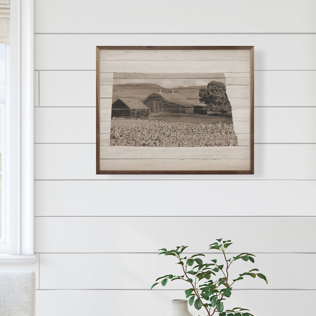 North Dakota Sunflower Field 20x16 / White