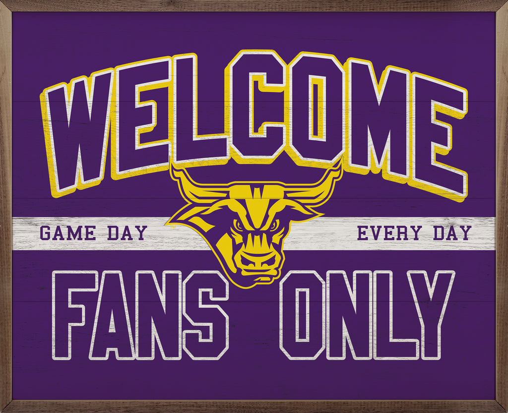 Fans Only Minnesota State University 20x16 / Purple