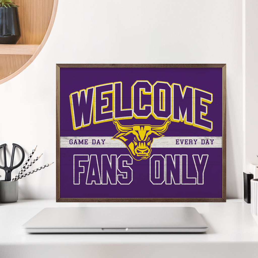 Fans Only Minnesota State University 20x16 / Purple