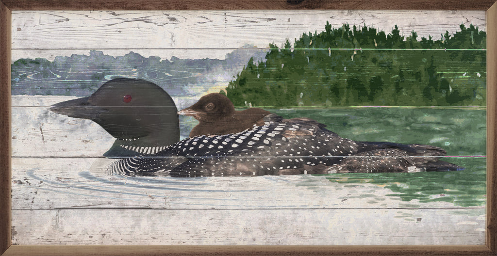 Loon And Baby On Water 24x12 / White