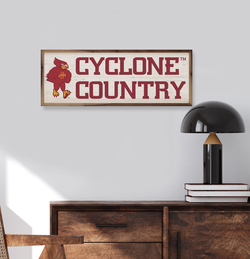 Logo Country Iowa State 24x8 / White