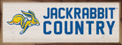 Logo Country South Dakota State 24x8 / White