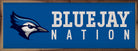 Logo Nation Creighton 24x8 / Blue