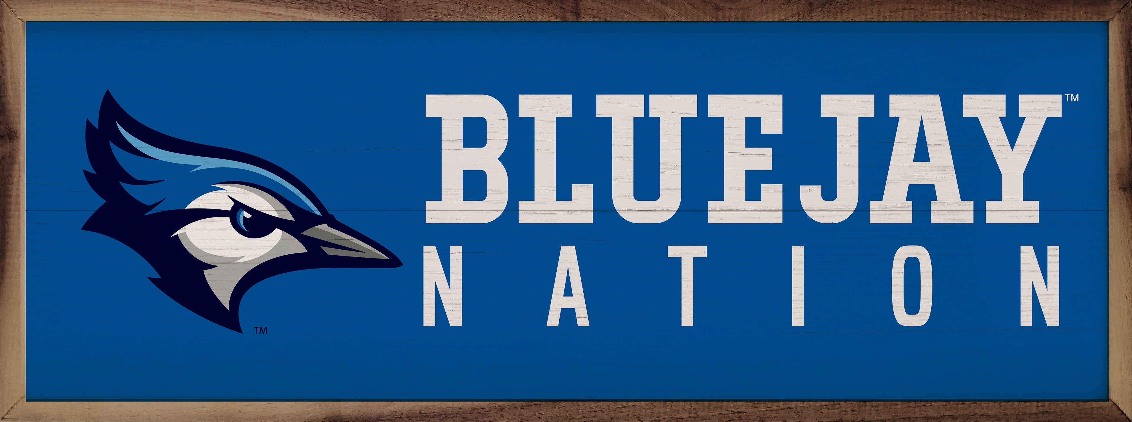 Logo Nation Creighton 24x8 / Blue